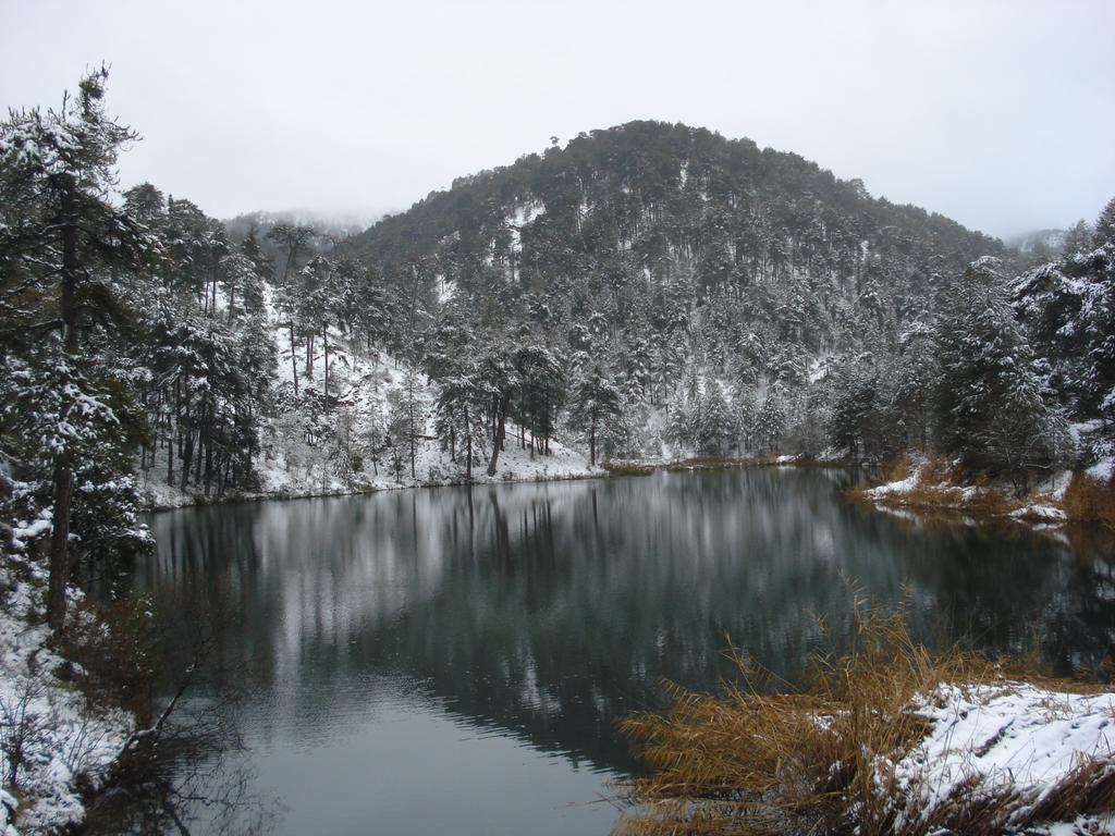 Hotel Rural Montana De Cazorla Arroyo Frio Buitenkant foto