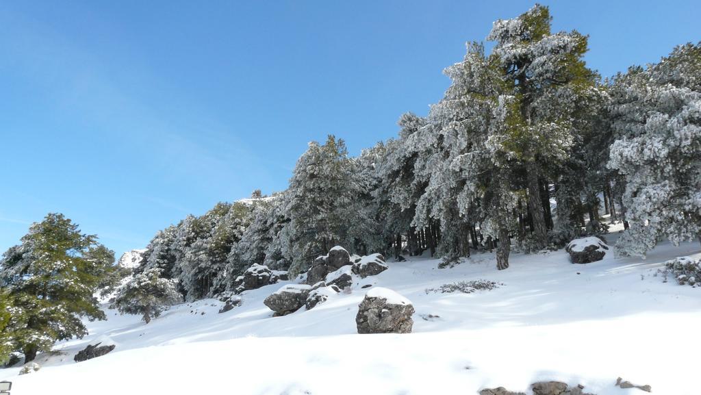 Hotel Rural Montana De Cazorla Arroyo Frio Buitenkant foto